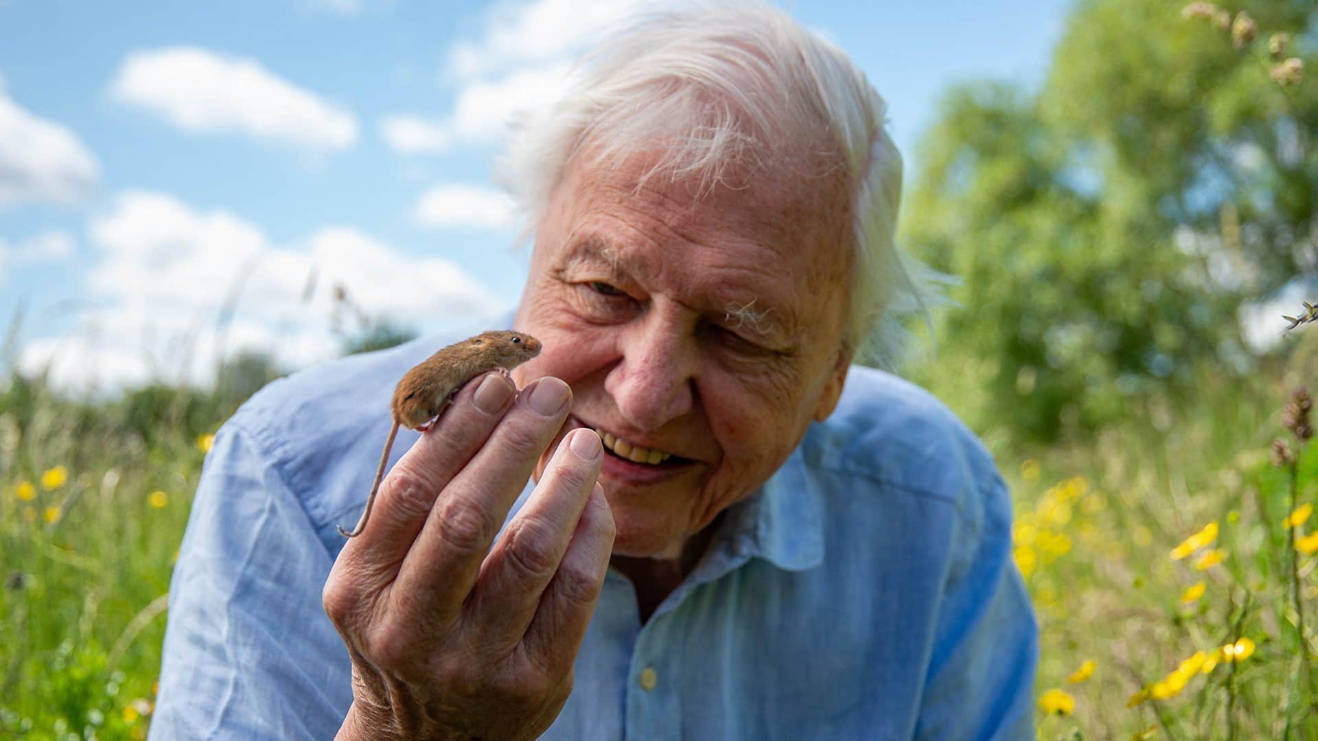 David Attenborough
